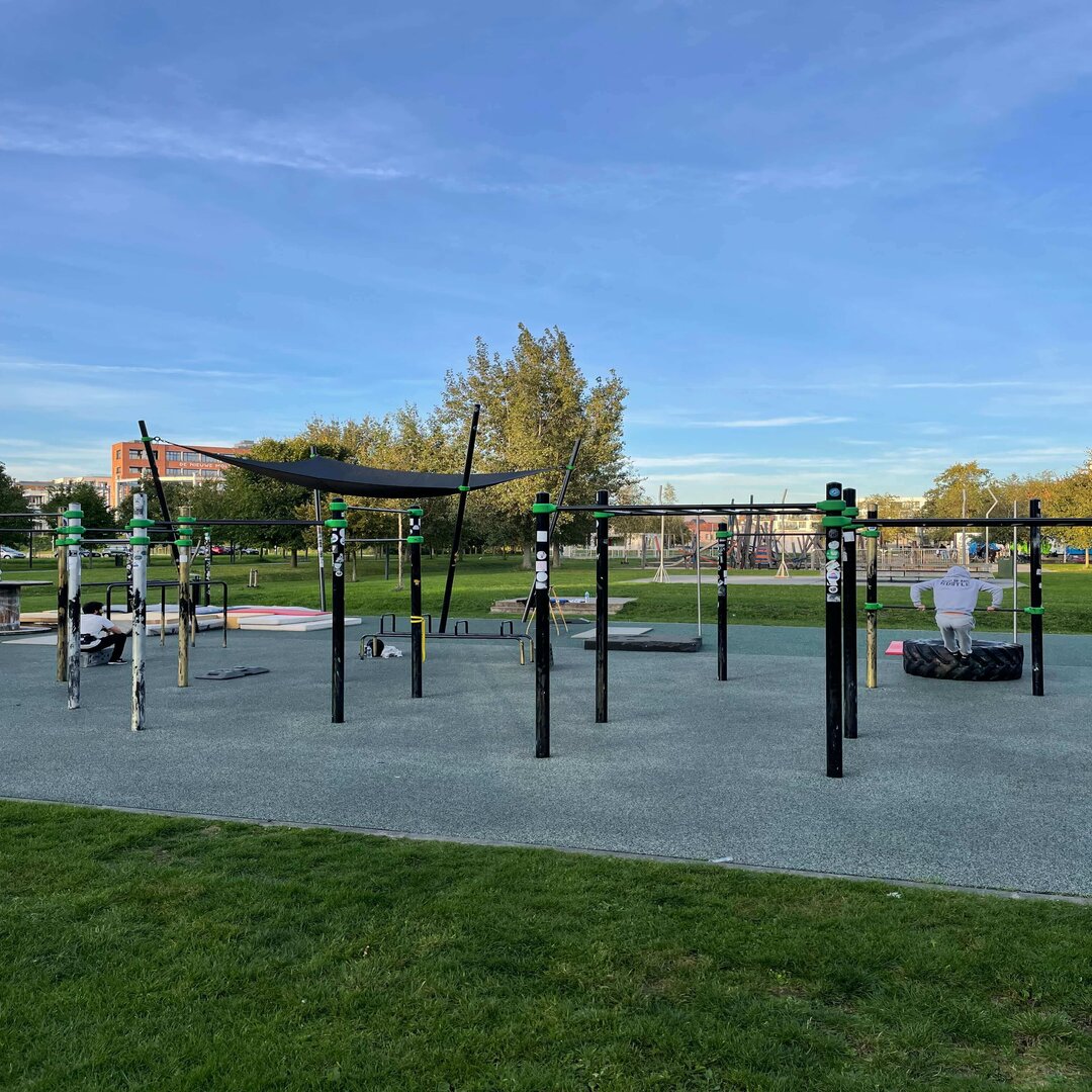 Best calisthenics parks in the world sale